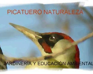 Picatuero Naturaleza Jardinería y Educación ambiental
